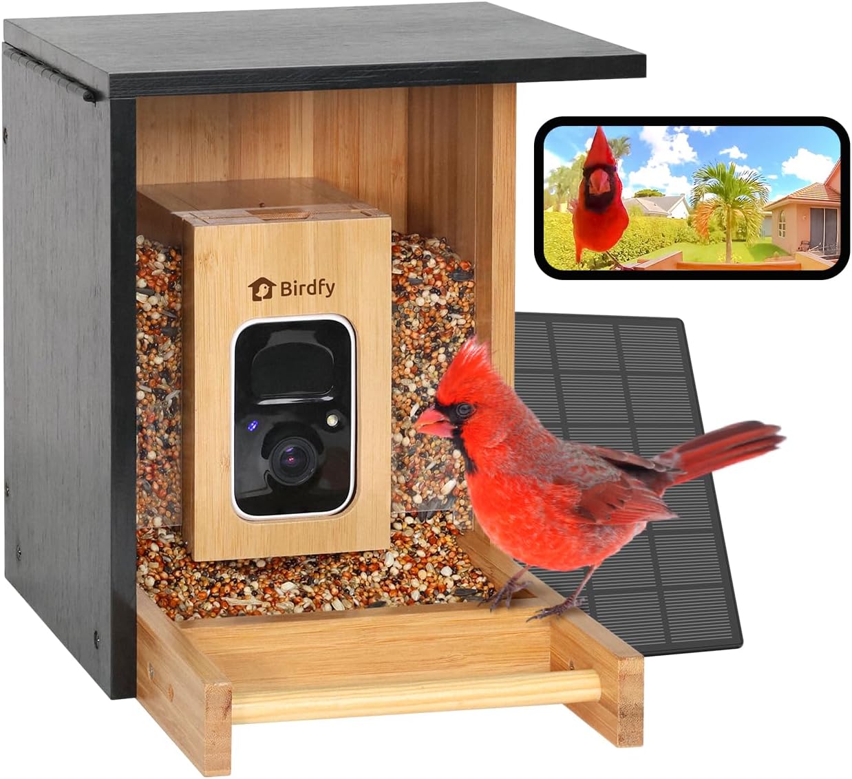 Watches Original - Smart Bird Feeder with Camera, Solar