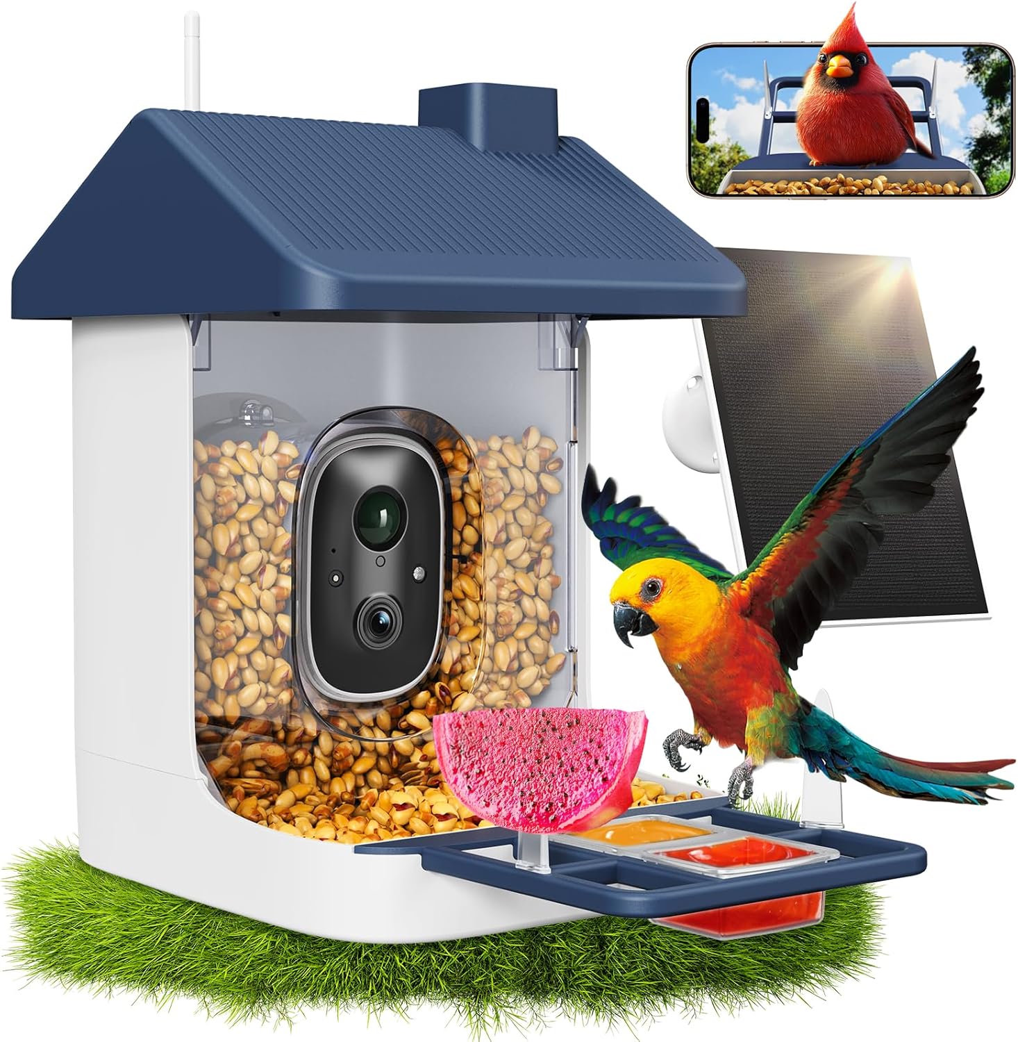 Solar-Powered Smart Bird Feede - Watches Original recensione e prezzo