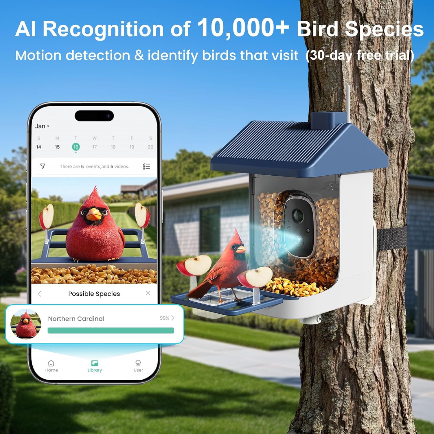 Solar-Powered Smart Bird Feede - Watches Original recensione e prezzo