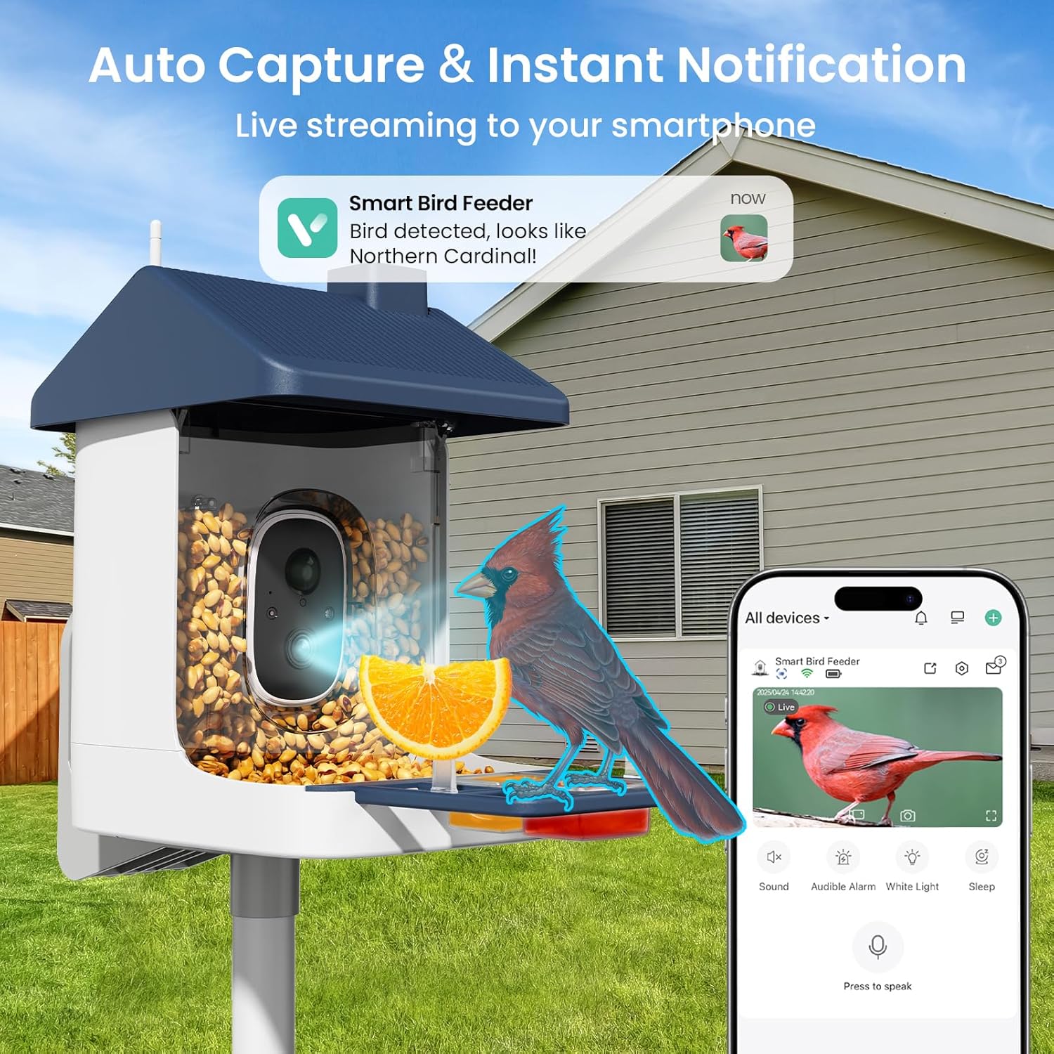 Solar-Powered Smart Bird Feede - Watches Original recensione e prezzo