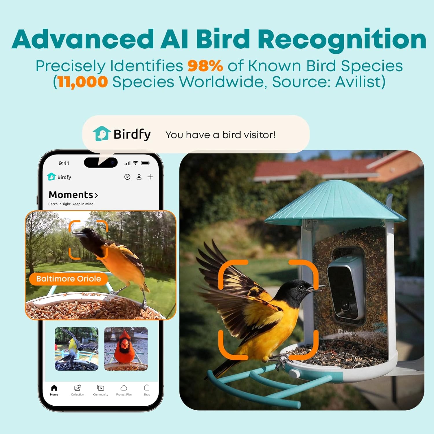 Smart Bird Feeder with AI Came - Watches Original recensione e prezzo