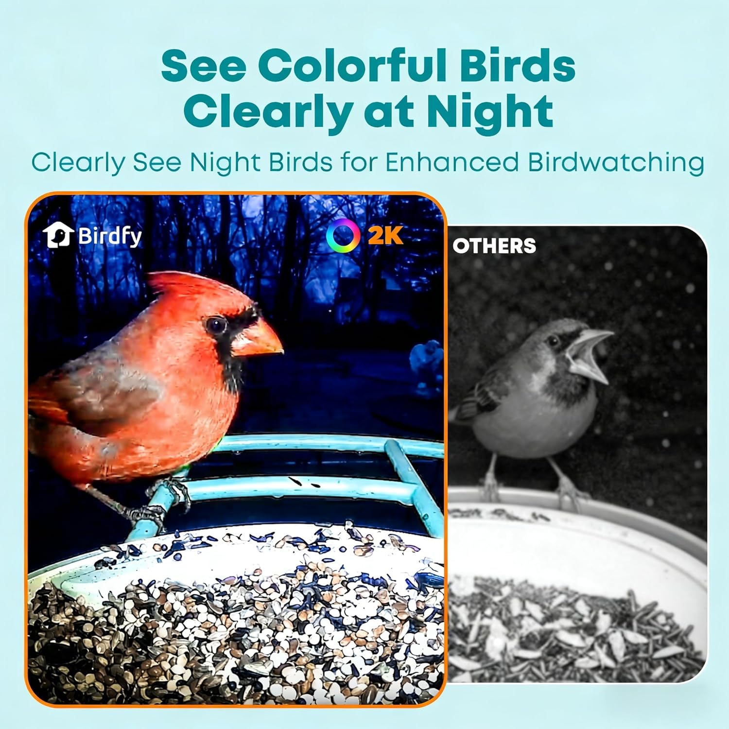 Smart Bird Feeder with AI Came - Watches Original recensione e prezzo