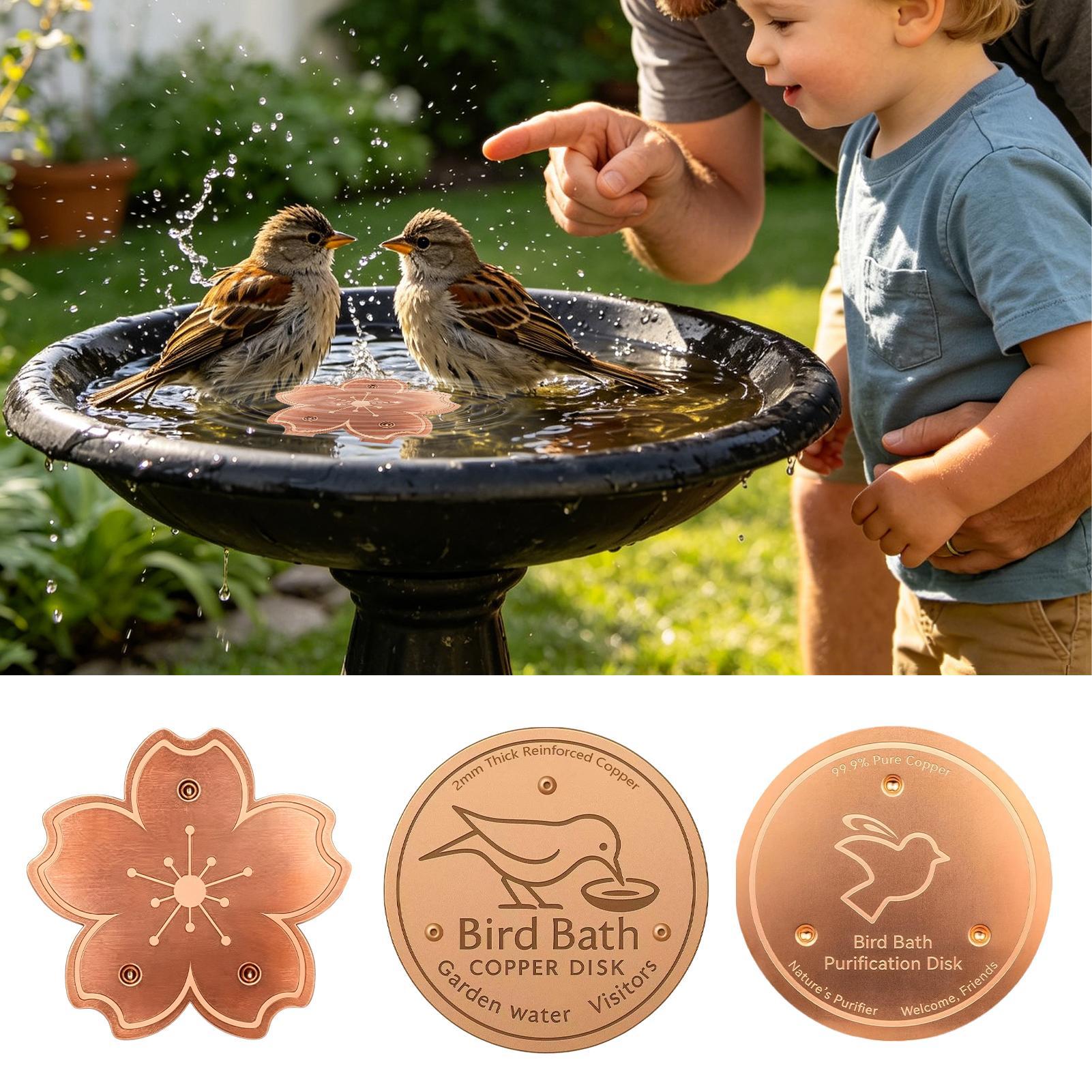 Copper For Bird Bath Safe Puri - Watches Original recensione e prezzo