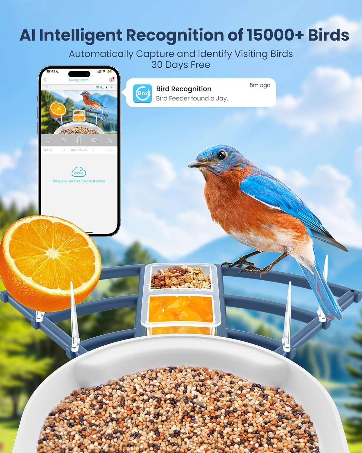 Smart Bird Feeder with Camera, - Watches Original recensione e prezzo