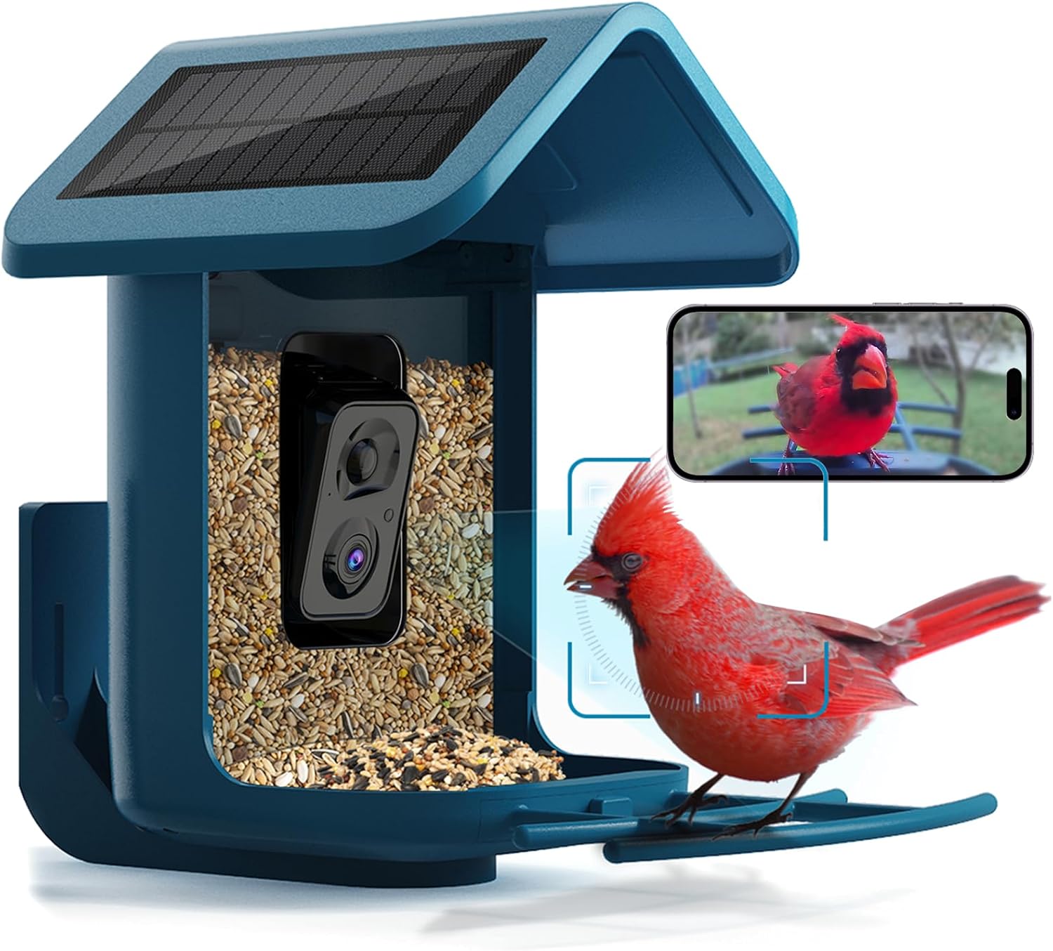 Solar Bird Feeder with 2K Came - Watches Original recensione e prezzo