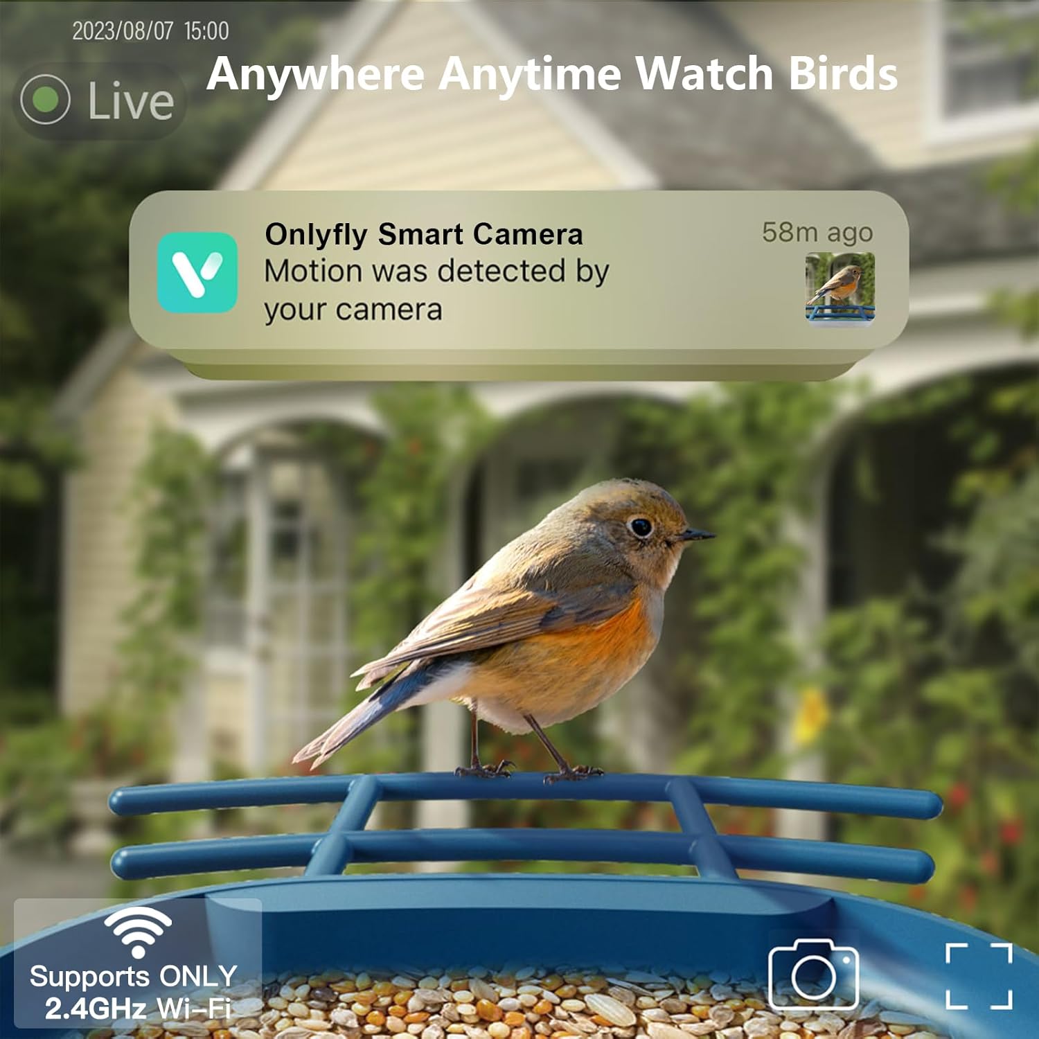 Solar Bird Feeder with 2K Came - Watches Original recensione e prezzo