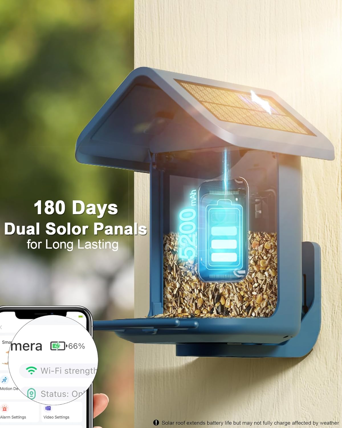 Solar Bird Feeder with 2K Came - Watches Original recensione e prezzo