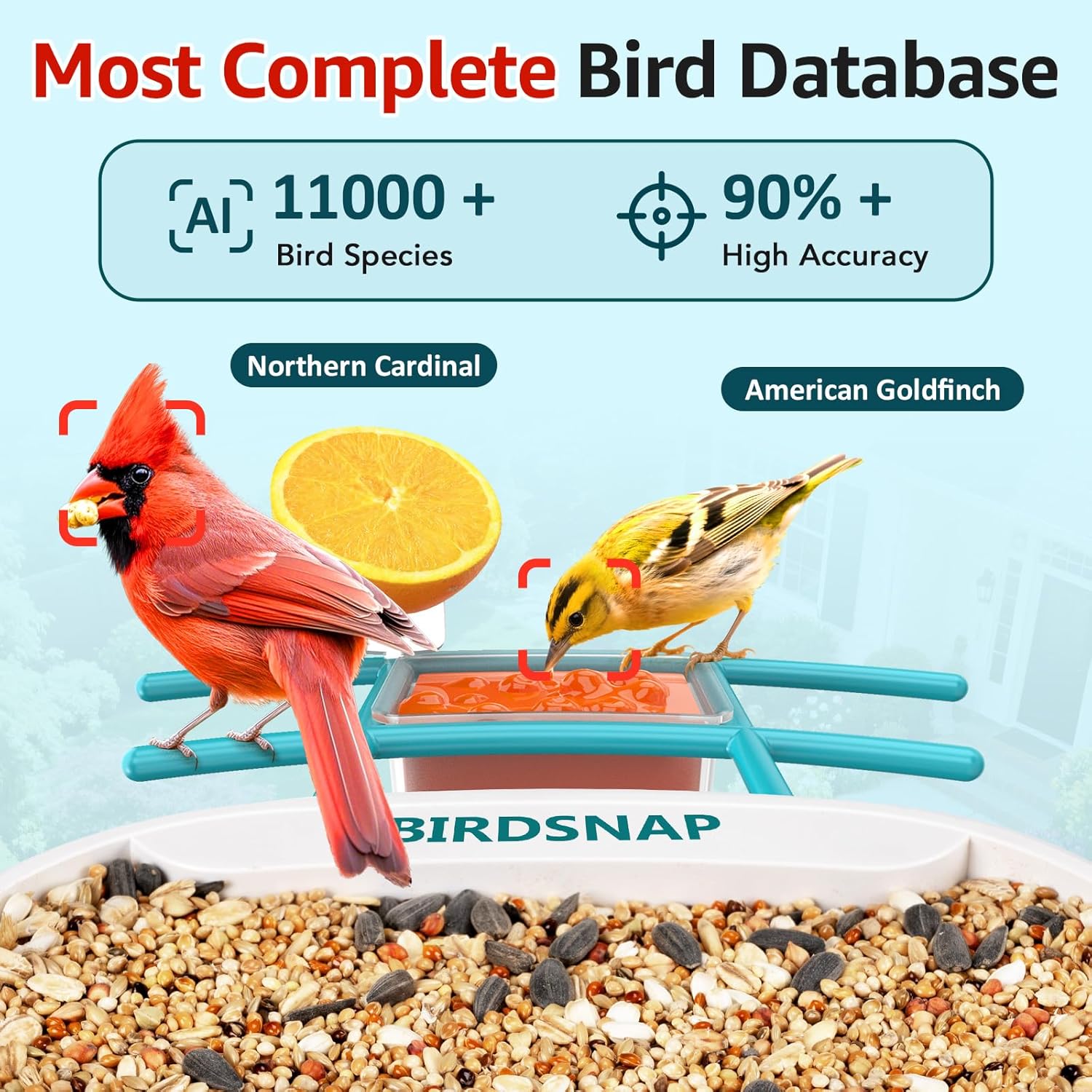 2K HD Bird Feeder Camera with  - Watches Original recensione e prezzo