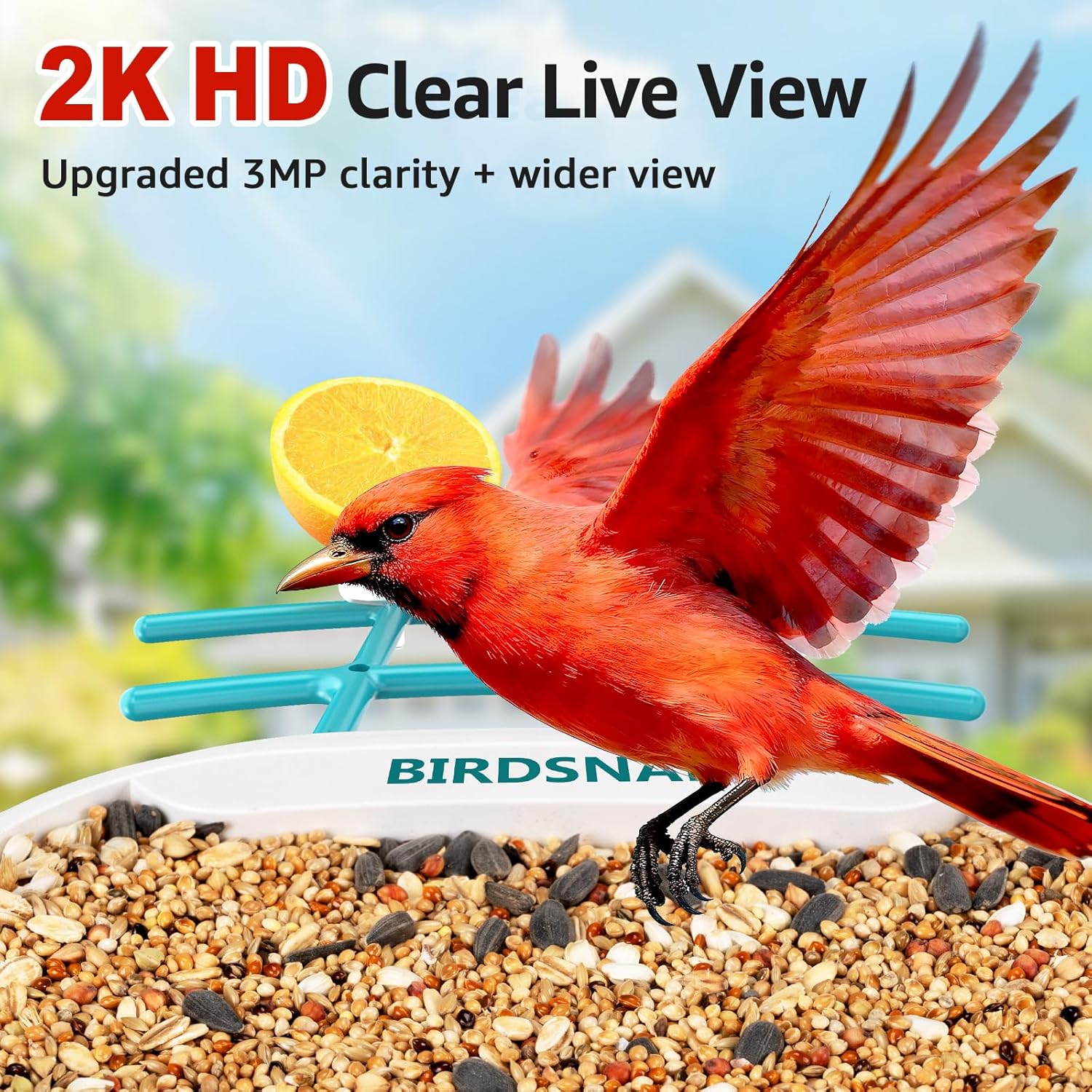 2K HD Bird Feeder Camera with  - Watches Original recensione e prezzo
